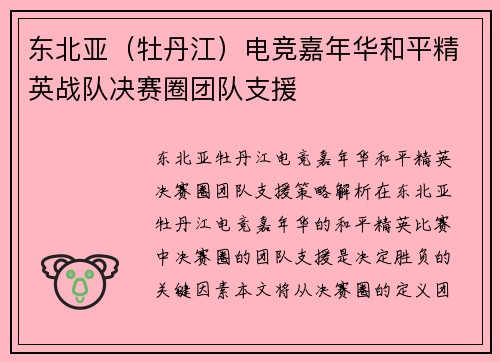 东北亚（牡丹江）电竞嘉年华和平精英战队决赛圈团队支援